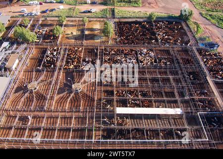 Aerial of the Roma Saleyards le plus grand centre de vente de bétail d'Australie, avec plus de 400 000 bovins passant par an. Roma Queensland Australie Banque D'Images