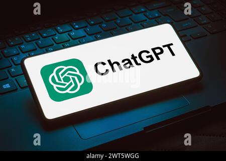 Brésil. 24 novembre 2023. Dans cette illustration photo, le logo ChatGPT est affiché sur l'écran d'un smartphone. (Photo de Rafael Henrique/SOPA images/SIPA USA) *** strictement à des fins éditoriales *** crédit : SIPA USA/Alamy Live News Banque D'Images