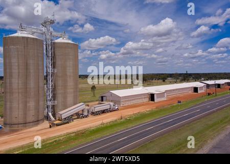 Antenne du dépôt grain Corp pour le grain à Wallumbilla sur le Maranoa Queensland Australie Banque D'Images