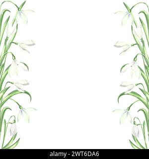 Modèle de carte postale avec des gouttes de neige blanches avec des feuilles vertes. Printemps été fond aquarelle arrangement de fleur, cadre floral avec espace de copie isol Banque D'Images