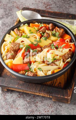 Lagman ouzbek Dish est une soupe parfumée avec des nouilles et des morceaux d'agneau, des légumes et des herbes en gros plan sur l'assiette sur la planche de bois. Vertical Banque D'Images