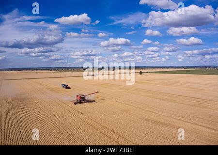 L'antenne d'une moissonneuse-batteuse déchargeant dans un chasseur de poubelle récoltait du blé près de Wallumbilla sur le Maranoa Queensland Australie Banque D'Images