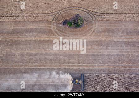 Antenne de moissonneuses-batteuses récoltant le blé près de Wallumbilla sur le Maranoa Queensland Australie Banque D'Images