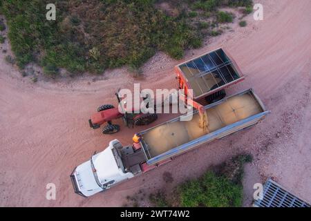 Antenne du chasseur de poubelle déchargeant le blé récolté sur un camion pour le transport à Wallumbilla Maranoa Region Queensland Australie Banque D'Images