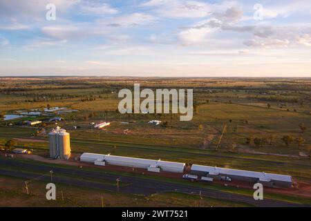 Aérien de Silo's et hangars pour la récolte de blé à Wallumbilla sur le Maranoa Queensland Australie Banque D'Images