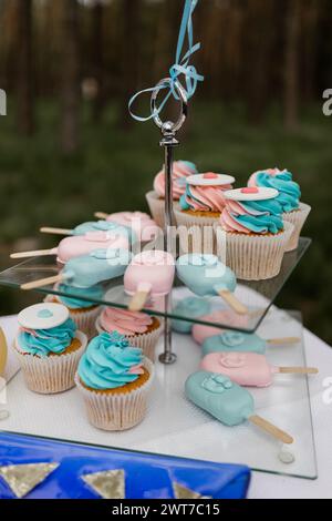 Cupcakes pastel, crème glacée et popsicles exposés pour une célébration. Banque D'Images