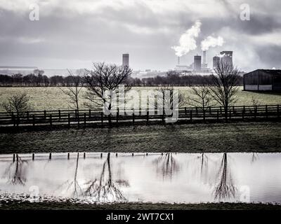 Les arbres se reflètent dans un champ creusé d'eau, les centrales électriques peuvent être vues au loin vers la ville industrielle de Middlesbrough dans le nord-est. ROYAUME-UNI. Banque D'Images