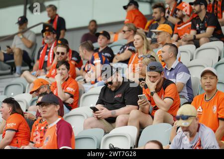 Brisbane, Australie. 16 mars 2024. Réaction des fans lors du match de ligue Isuzu Ute A entre Brisbane Roar et MacArthur FC au Ballymore Stadium. Crédit : Matthew Starling / Alamy Live News Banque D'Images