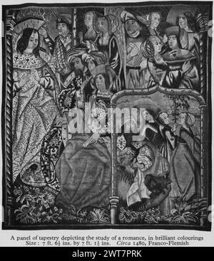 Scènes de la vie de David. Inconnu c. 1500 dimensions de tapisserie : H 7'6,5' x l 7'1,5' tapisserie matériaux/techniques : inconnu culture : Centre de tissage du Sud des pays-Bas : inconnu historique de propriété : Français et Co. reçu de la Galerie d'art espagnole, facturé le 3/7/1932 ; retourné le 3/29/1932 [SS 17807]. French & Co. acheté à la Spanish Art Gallery, facturé le 2/16/1933 [SS 17543]. Scène encadrée par des colonnes ; à gauche, Nathan apporte David message de Dieu (2 Samuel 7) ; dans le haut R, Bathsheba est raconté de la mort et des deuils d'Urie (2 Samuel 11-12) ; scène dans le cadre à bas R, David tuant le lion (1 Samuel 17) photo cap Banque D'Images