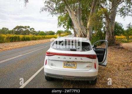 Haval H6 blanc SUV, voiture chinoise garée dans la vallée de Barossa, Australie du Sud, vue arrière Banque D'Images