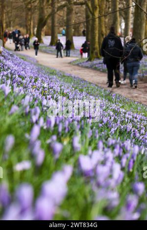 Husum, Allemagne. 16 mars 2024. Les gens font une promenade dans le parc du château de Husum. Le 16 mars 2024, le 26e Crocus Blossom Festival a ouvert ses portes dans la ville portuaire de la mer du Nord. Crédit : Frank Molter/dpa/Alamy Live News Banque D'Images