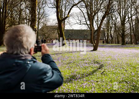 Husum, Allemagne. 16 mars 2024. Une femme prend une photo dans le parc du château de Husum. Le 16 mars 2024, le 26e Crocus Blossom Festival a ouvert ses portes dans la ville portuaire de la mer du Nord. Crédit : Frank Molter/dpa/Alamy Live News Banque D'Images