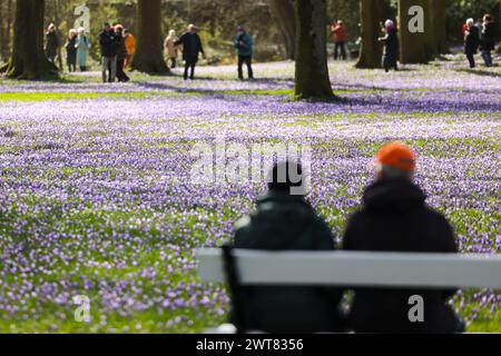 Husum, Allemagne. 16 mars 2024. Les gens sortent et se déplacent dans le parc du château de Husum. Le 16 mars 2024, le 26e Crocus Blossom Festival a ouvert ses portes dans la ville portuaire de la mer du Nord. Crédit : Frank Molter/dpa/Alamy Live News Banque D'Images