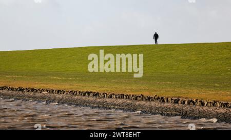 Husum, Allemagne. 16 mars 2024. Un homme marche le long d'une digue sur la mer du Nord au soleil. Crédit : Frank Molter/dpa/Alamy Live News Banque D'Images