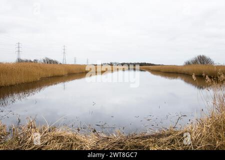 Roselières, pylônes électriques et reflets dans l'eau lors d'une journée couverte dans la réserve naturelle RSPB Newport Wetlands au pays de Galles, Royaume-Uni. Banque D'Images