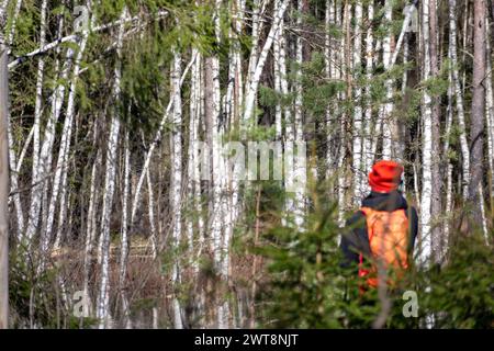 Une personne en vêtements lumineux marche le long d'un sentier de la nature avec de nombreux arbres Banque D'Images