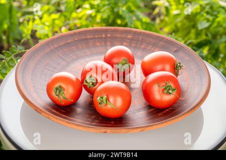 Plusieurs tomates cerises mûres sur une plaque d'argile sur la table sur fond de plantes vertes, macro. Banque D'Images