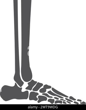 OS de jambe humain. Vue latérale de l'anatomie des pieds Illustration de Vecteur