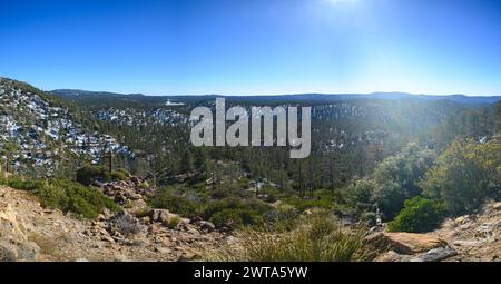 Paysage de la forêt de pins enneigés dans la Sierra de San Pedro Martir, basse Californie Banque D'Images