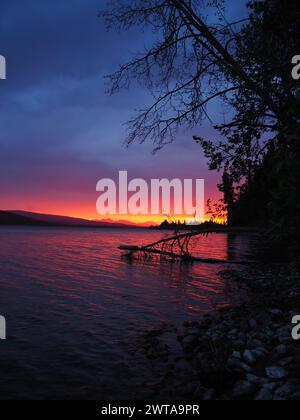 Les eaux sereines du lac Little Atlin reflètent les teintes éclatantes du crépuscule, tandis que les branches silhouettées s'étendent vers le ciel vibrant dans la nature sauvage du Yukon Banque D'Images