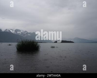 Haines, Alaska, capturant des eaux calmes avec des roseaux aquatiques au premier plan, une île lointaine au milieu du sol, et des montagnes couvertes de brouillard et enneigées Banque D'Images