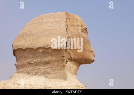 Portrait de tête gros plan du Sphinx Gizeh le Caire Égypte Afrique Banque D'Images