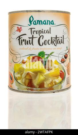 Winneconne, WI - 9 mars 2024 : une canette de cocktail de fruits tropicaux Pamana sur un fond isolé. Banque D'Images