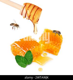 Goutte à goutte miel savoureux de la benne sur les nids d'abeilles, la menthe et les abeilles sur fond blanc Banque D'Images