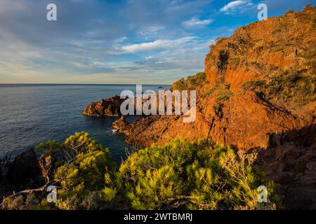 Cap du Dramont, Sunrise, massif de l'Estérel, montagnes de l'Estérel, Département du Var, région Provence-Alpes-Côte d'Azur, France Banque D'Images