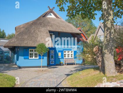 Une pittoresque maison de toit de chaume peinte en bleu avec banc devant l'entrée, porte ouverte, têtes de cheval sur le pignon, galerie d'art Kunstkaten Banque D'Images