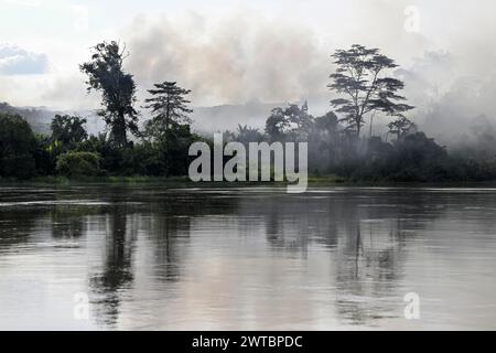 Brouillard sur la forêt tropicale le long de la rivière Sangha, complexe d'aires protégées de Dzanga-Sangha (DSPAC), préfecture de Sangha-Mbaere, République centrafricaine Banque D'Images