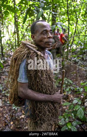 Pygmée du peuple Baka ou BaAka avec son filet de chasse, réserve spéciale de forêt dense de Dzanga-Sangha, préfecture de Sangha-Mbaere, Afrique centrale Banque D'Images