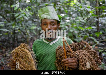 Pygmée du peuple Baka ou BaAka avec ses pièges et filets de chasse dans la forêt, réserve spéciale de forêt dense de Dzanga-Sangha, Sangha-Mbaere Banque D'Images