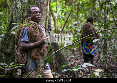 Pygmée du peuple Baka ou BaAka avec son filet de chasse, réserve spéciale de forêt dense de Dzanga-Sangha, préfecture de Sangha-Mbaere, Afrique centrale Banque D'Images