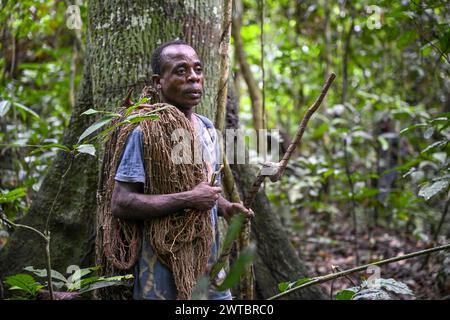 Pygmée du peuple Baka ou BaAka avec son filet de chasse, réserve spéciale de forêt dense de Dzanga-Sangha, préfecture de Sangha-Mbaere, Afrique centrale Banque D'Images