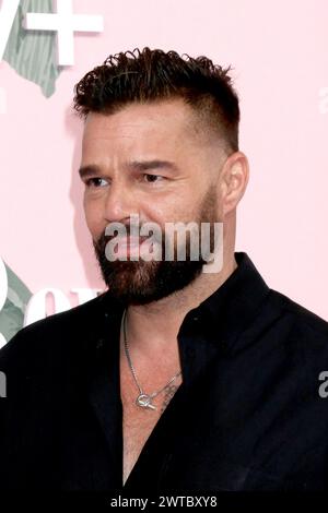 LOS ANGELES - Mar 14 : Ricky Martin à la première mondiale Palm Royal au Samuel Goldwyn Theater le 14 mars 2024 à Beverly Hills, CA Banque D'Images