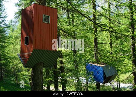 gros plan sur les petites cabanes en bois colorées à l'envers et sur les côtés sur les arbres dans la montagne dans les alpes, france Banque D'Images