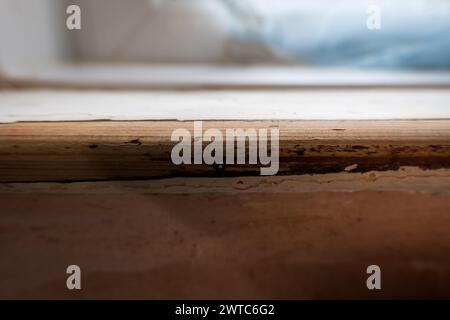 panneau de fenêtre en bois poncé en gros plan pendant la rénovation de la maison. Banque D'Images