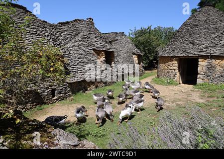 Les cabanes du Breuil, anciennes annexes agricoles d’une ferme située à Saint-André-d’Allas en Périgord Noir dans le sud-ouest de la France. Ceux-ci construisent Banque D'Images