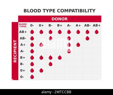 Tableau de compatibilité des groupes sanguins. Tableau avec croisement des groupes sanguins. Combinaisons possibles de donneurs et de receveurs. Infographie montrant les groupes sanguins. Illustration de Vecteur