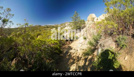 Un sentier de montagne rocheux avec des arbres en arrière-plan. Le ciel est clair et bleu. Le chemin est étroit et sinueux, menant à une élévation plus élevée. L'arbre Banque D'Images