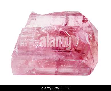 spécimen de découpe naturelle de cristal de tourmaline de rubellite brute sur fond blanc Banque D'Images