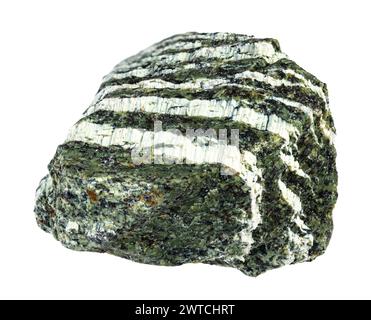 spécimen de découpe naturelle de roche serpentine chrysotile crue sur fond blanc Banque D'Images