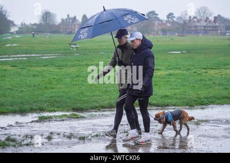 Londres, Royaume-Uni 17 mars 2024 . Les promeneurs de chiens s'abritent avec un parapluie alors qu'ils bravent les conditions humides et froides sur Wimbledon Common, au sud-ouest de Londres ce matin. Crédit : amer Ghazzal/Alamy Live News Banque D'Images