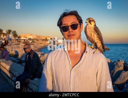 Un Barbary Faclon, ou Faucon pèlerin, est assis sur l'épaule d'un touriste occidental masculin près de la mer Méditerranée à Mahdi, Tunisie. Banque D'Images