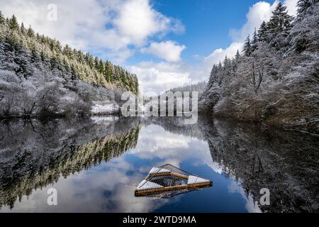 Arbres givrés entourant le lac Staindale dans la forêt de Dalby. Banque D'Images