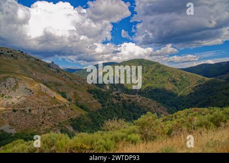 Des champs des prés la nature en plein été en lozere près de saint frezal d'albuge, de Chasseradès, les monts de lozere Banque D'Images