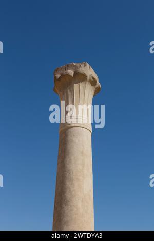 Egypte, Saqqara, le temple de la vallée d'Ounas, colonne. Banque D'Images