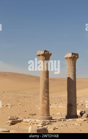 Egypte, Saqqara, le temple de la vallée d'Ounas, colonnes. Banque D'Images