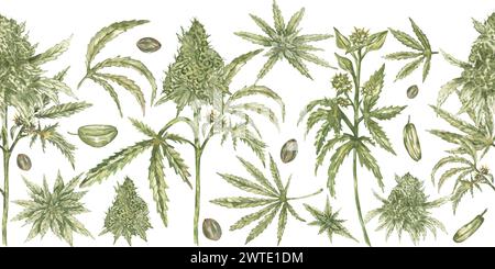 Le cannabis laisse une frontière sans couture. Illustration de flore aquarelle. ELEMENT D'herbe MEDICALE de chanvre. Bordure de répétition de plante médicinale dessinée à la main de cannabis, isolée Banque D'Images